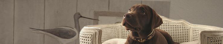 Hundebett | Kuhfell