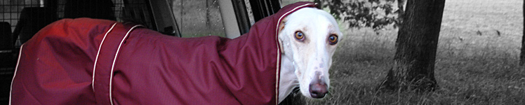 Windhunde Mäntel