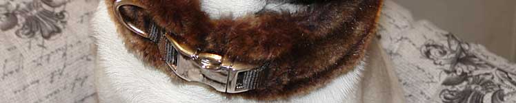 Cosy Collar