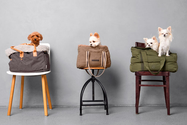 HUNDETASCHEN