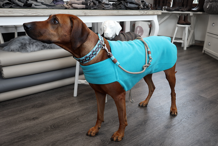 HUNDEPULLOVER