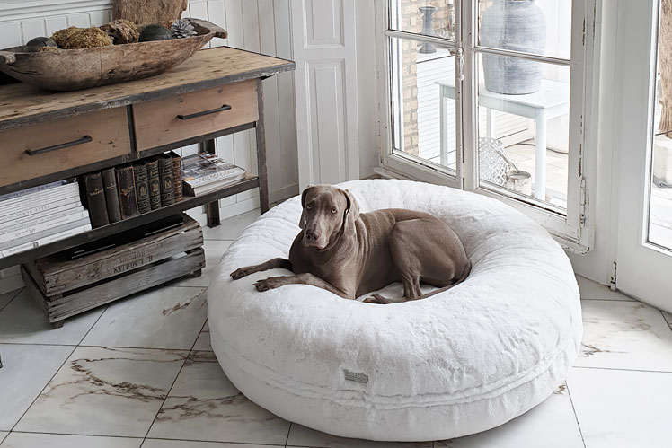COSYBEDs
