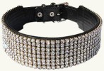 Halsband | Strass