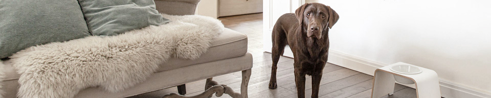 dogBar® Single