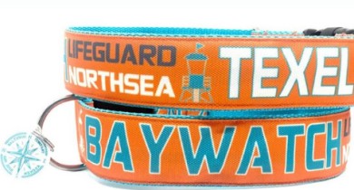 SALTYDOG ® BAYWATCH | TEXEL
            