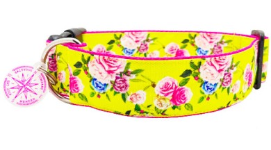 SALTYDOG ® Roses | Yellow
            