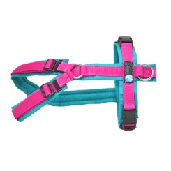 Brustgeschirr | FUN | Petrol | Pink 