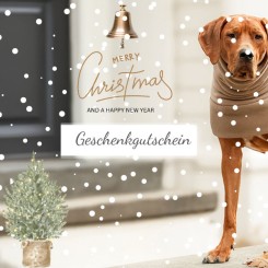 Gutschein (Online) MERRY CHRISTMAS 