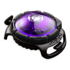 Orbiloc | Sicherheitslicht | Purple Lila 