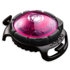 Orbiloc | Sicherheitslicht | Pink 