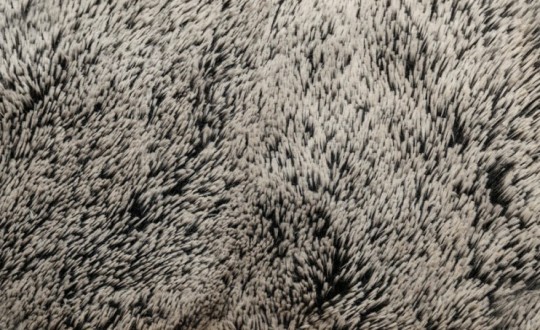HUSSE für COSYBED |  LONGHAIR | Black - Creme 