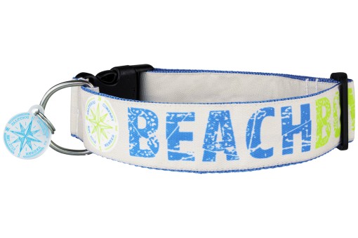 SALTYDOG | BEACH | BeachBoy 