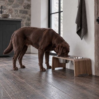 dogBar® | Classic  | Nussbaum | Edelstahl | M 