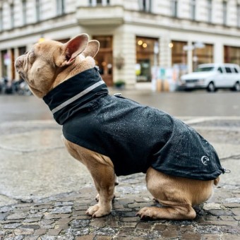 Regenjacke | Bulldogge | London Slate 