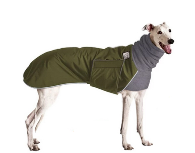 Windhundmantel | Winter | Whippet | Winter | Olive 