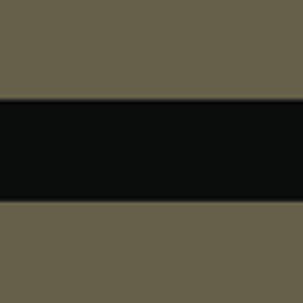 SALTYDOG ® Stripes | Heritage Olive/Black 
