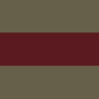 SALTYDOG ® Stripes | Heritage Olive/Wine 