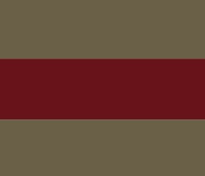 SALTYDOG ® Stripes | Heritage Olive/Wine 