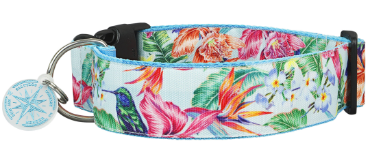 SALTYDOG ® COLIBRI Boy 