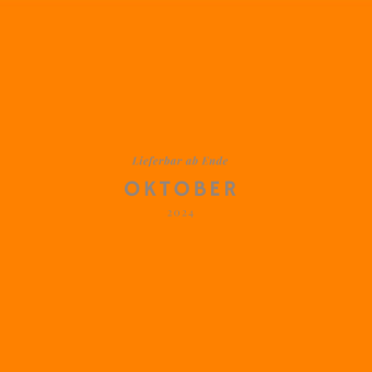 Cosy Polar Jogger  |  NEONORANGE 