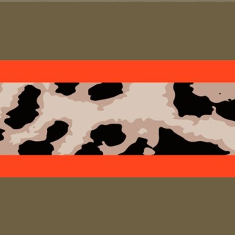 SALTYDOG ®  |  OLIVE  ORANGE  LEOPARD 
