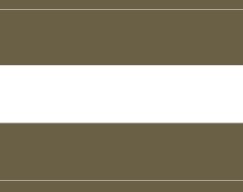 SALTYDOG ® Stripes | Heritage Olive/Offwhite 