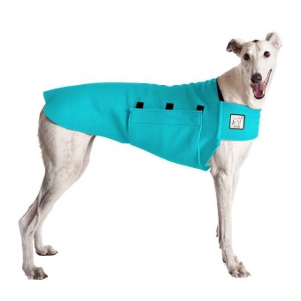 Tummy Warmer | GREYHOUND Galgo| Türkis 