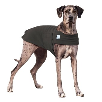 Tummy Warmer | Deutscha Dogge | Grey 