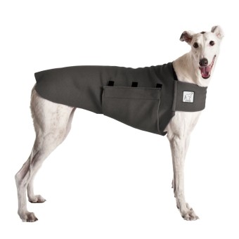 Tummy Warmer | GREYHOUND Galgo | Grey XL