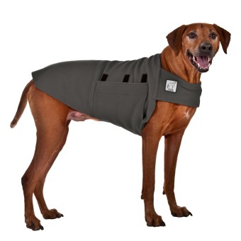 Tummy Warmer | Rhodesian Ridgeback | Grey L