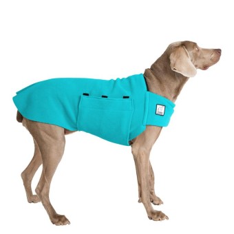 Tummy Warmer | Weimaraner | Türkis 