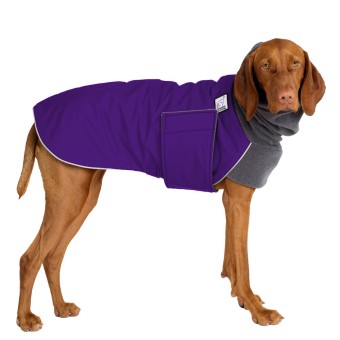 Vizsla | Hundemantel | Purple 