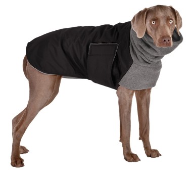 Weimaraner | Hundemantel | schwarz 