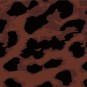 morepic-1