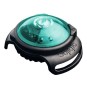 morepic-1