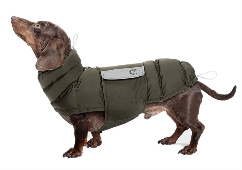 Dogs Inn - Manufaktur | Hundemantel | ALASKA | OLIVE | DACKEL | Dogs Inn  - Manufaktur