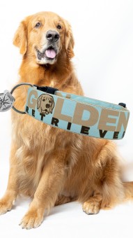 Dogs Inn - Manufaktur | SALTYDOG  GOLDEN RETRIEVER | Hellblau | Dogs Inn  - Manufaktur
