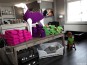 morepic-2