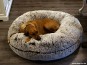 morepic-4