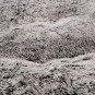 morepic-5