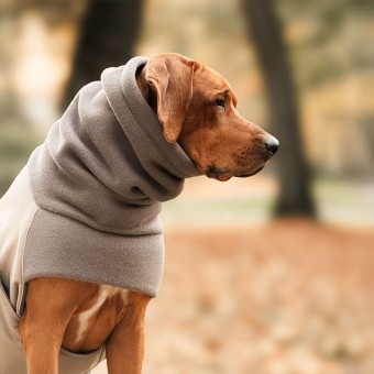 Dogs Inn - Manufaktur | COSY HOODIE | Rhodesian Ridgeback | Taupe / Taupe  | Dogs Inn - Manufaktur