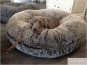 morepic-5