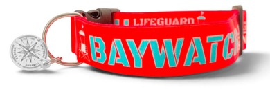 SALTYDOG ® BAYWATCH | Rot/Türkis | SEVEN SEAS 