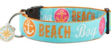 SALTYDOG ® Beach BOY |  TÜRKIS  2024
            