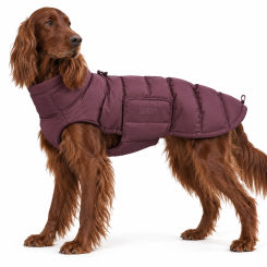 Hundemantel  |  ALASKA  |   Dark Aubergine 