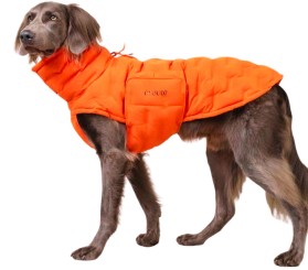 ALASKA  |  Seersucker Orange 