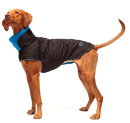 Hundemantel Brooklyn Waxed Cotton | Dunkelbraun |  Grösse 10
            