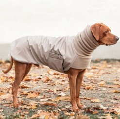 Windhundmantel | Winter | Whippet | Taupe | Taupe 