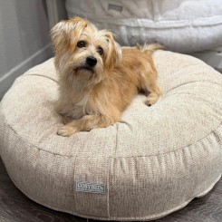 COSYPOUF | LOOM  |  SABLE 