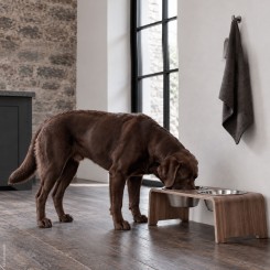dogBar® | Classic  | Nussbaum | Edelstahl | M 